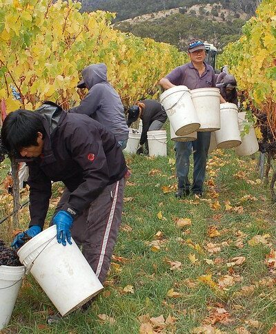 Praca i usługi